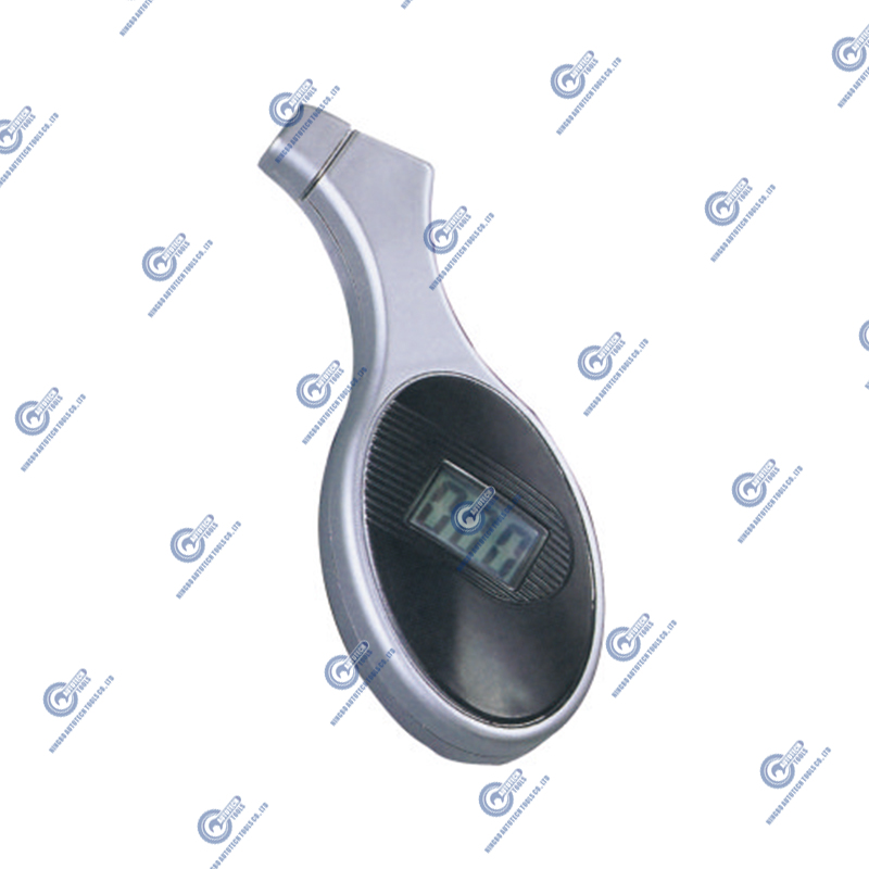سنج تایر دیجیتال DTG-04 (5-100 psi)