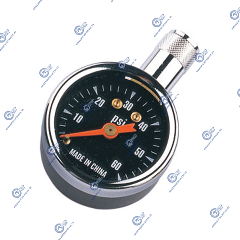 سنج تایر Dial Mini Mini (5-60 PSI)